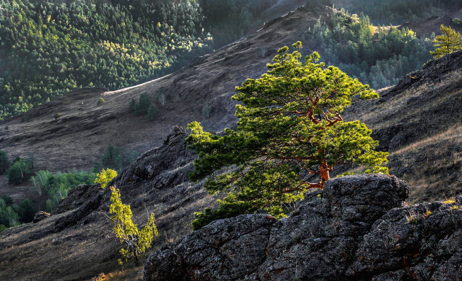 , Ушаков Валерий