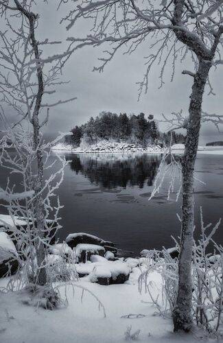 Остров в берёзовой рамке