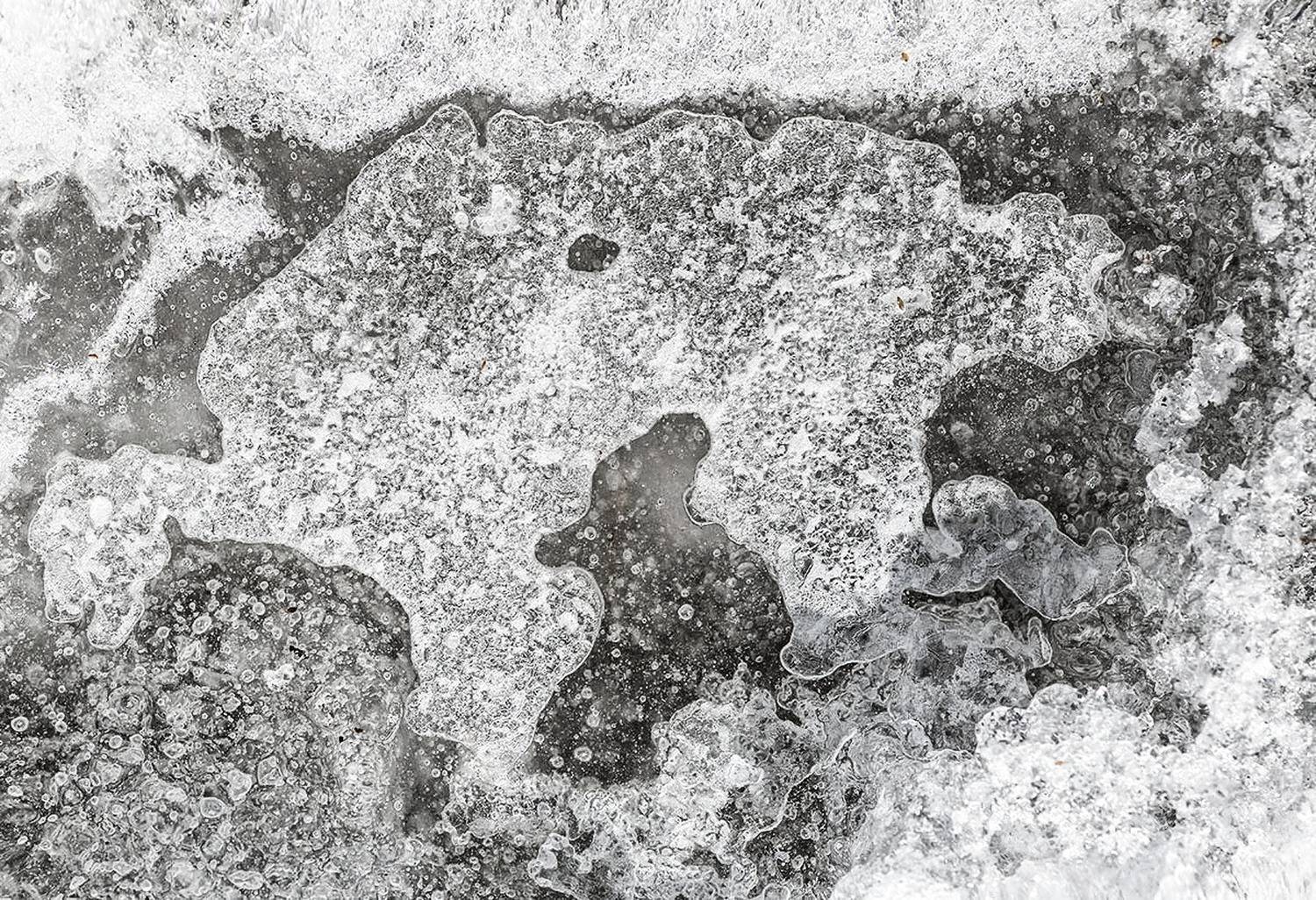 , Наиля Гарифуллина