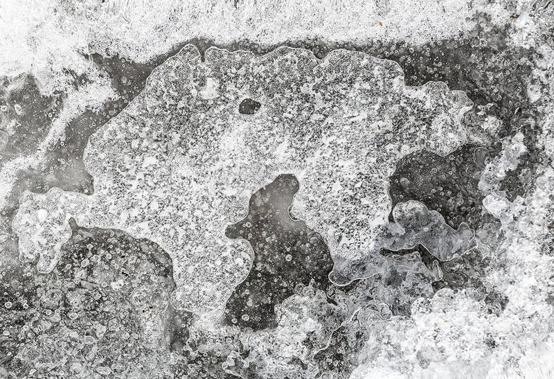 Медведь вышел из берлоги! фото превью