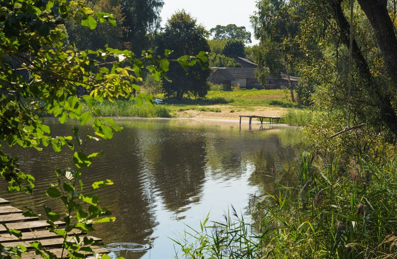 У пруда. фото превью