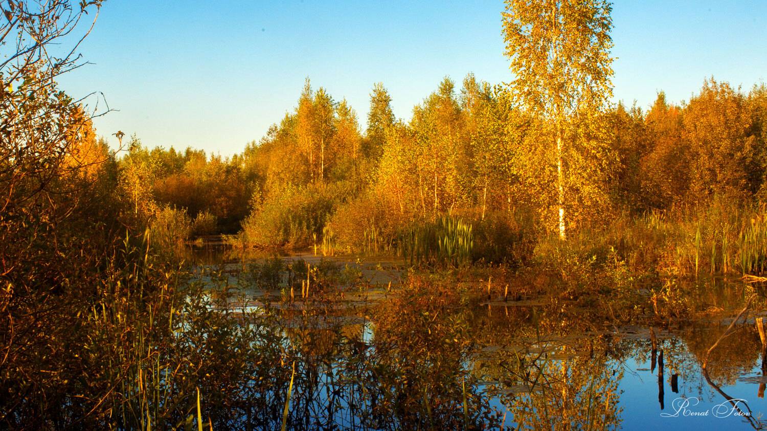 , Фотов Ренат