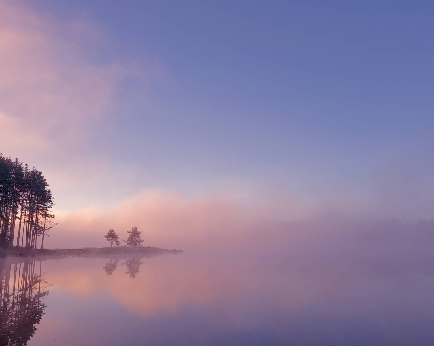, Герчев Николай