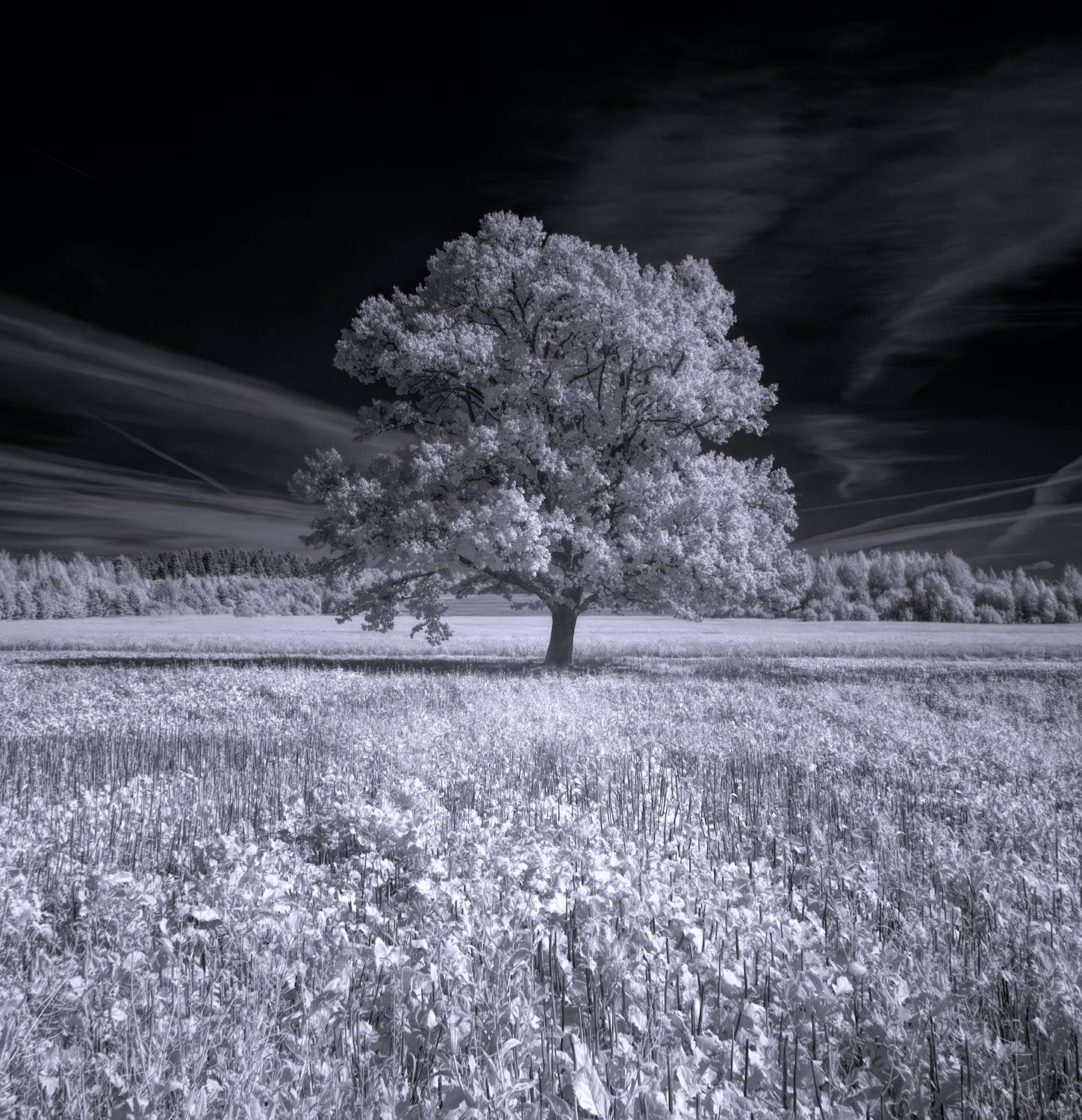 infrared, ик-фото, инфракрасное фото, инфракрасная фотография, пейзаж, осень,  Sixten (Сергей)