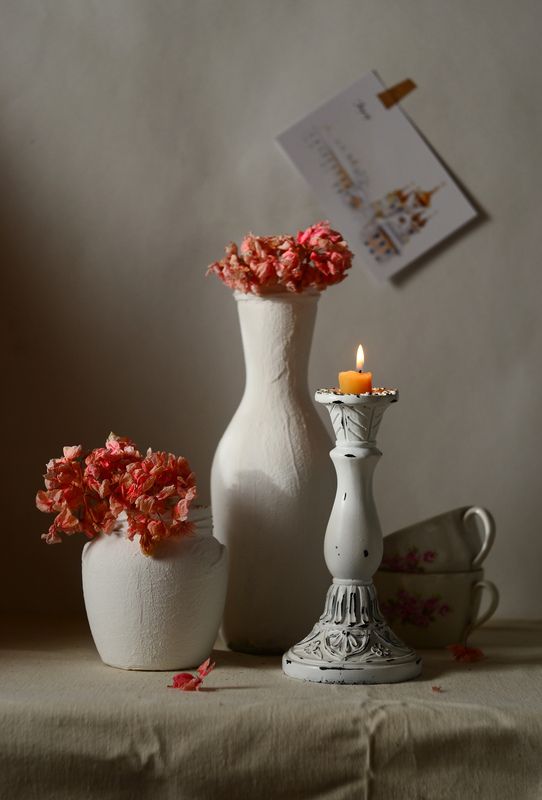 Прошлогодняя герань. фото превью