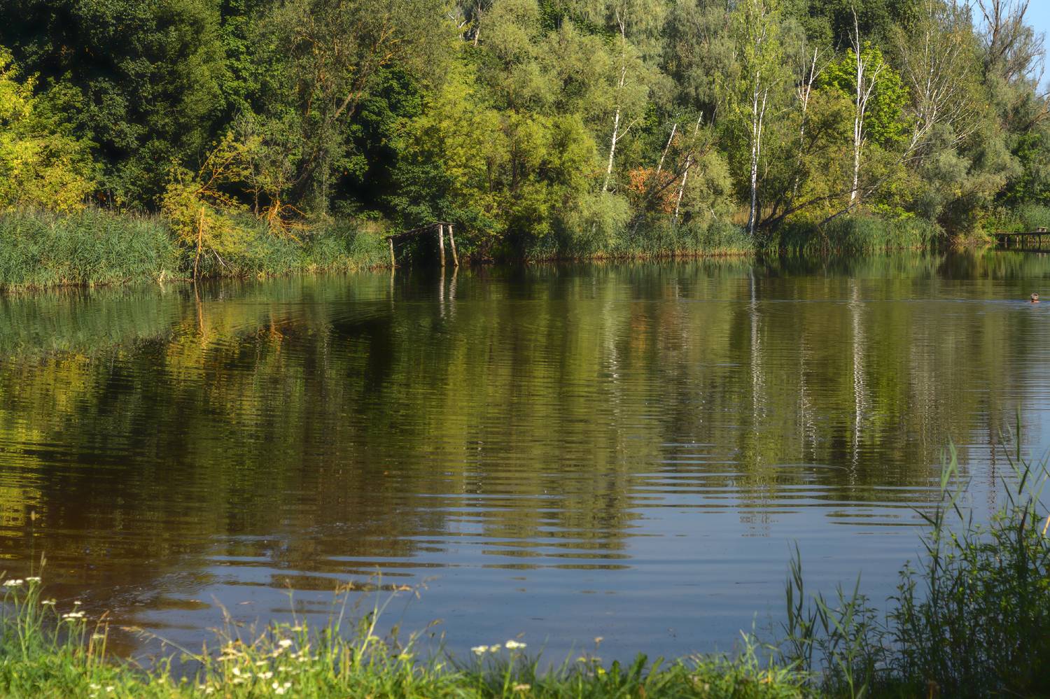 , Лысенко Сергей