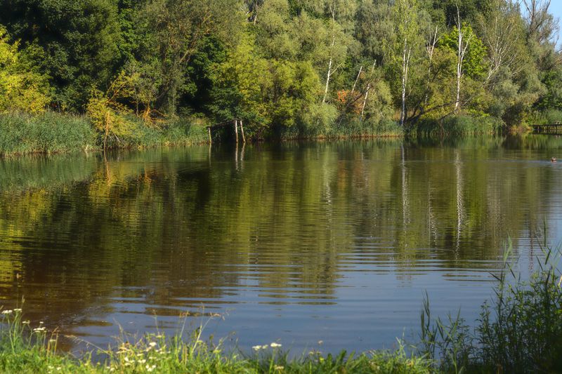 Дыхание осени. фото превью