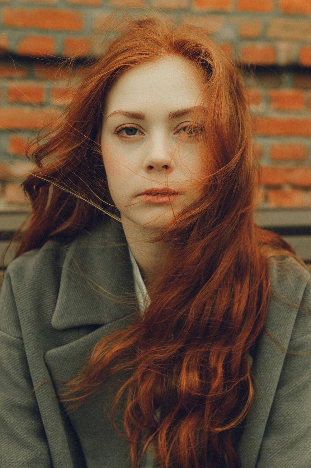 , Дмитрий Арабаджи