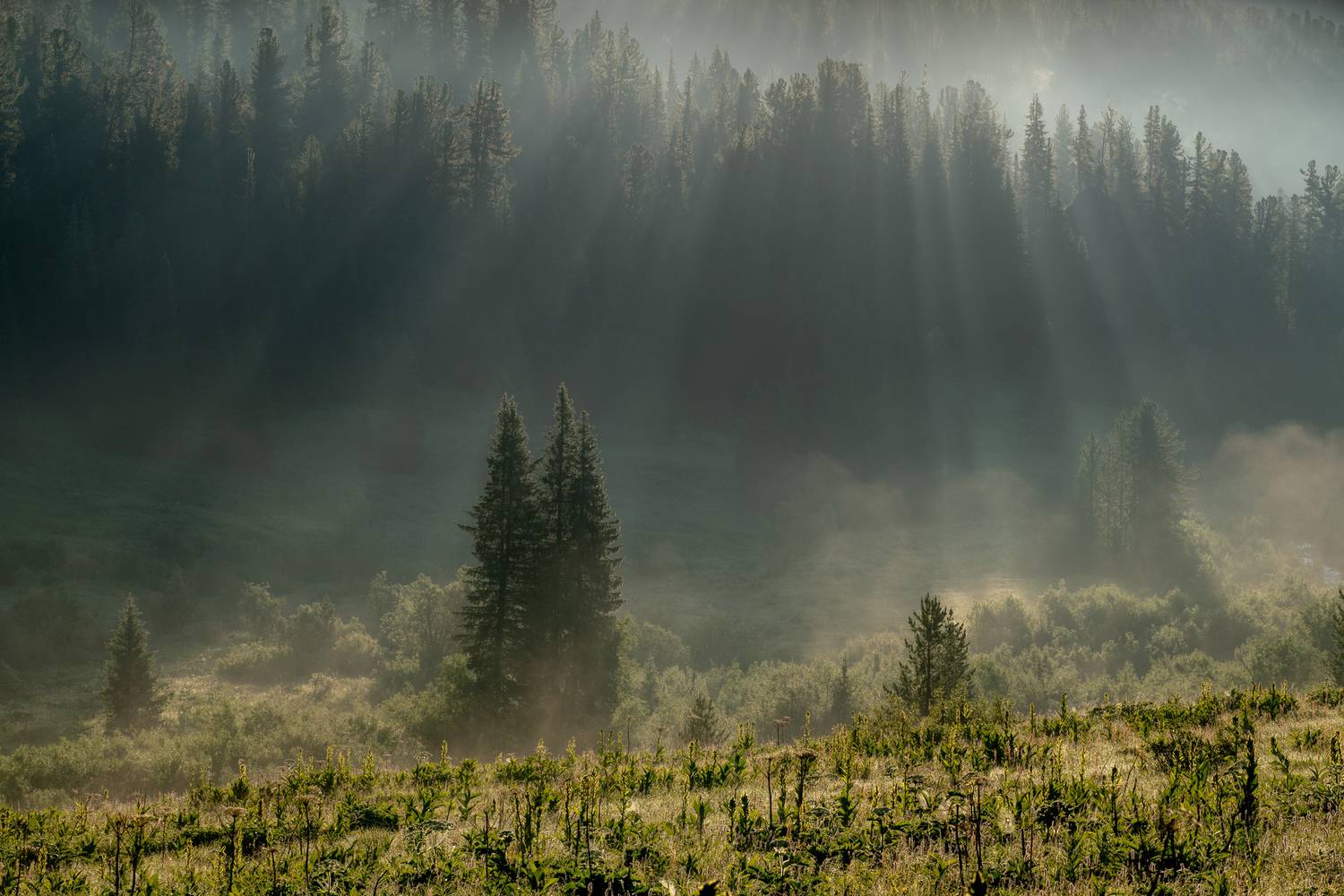 ергаки, саяны, пейзаж, красиво, лето, утро, хайкинг, тревел, туризм, Нерозя Александр