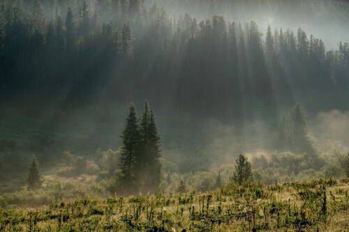 Безмятежный рассвет