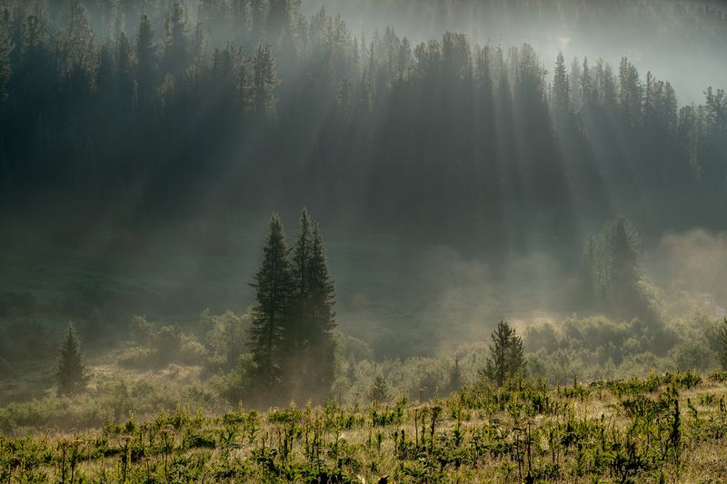 Безмятежный рассвет фото превью