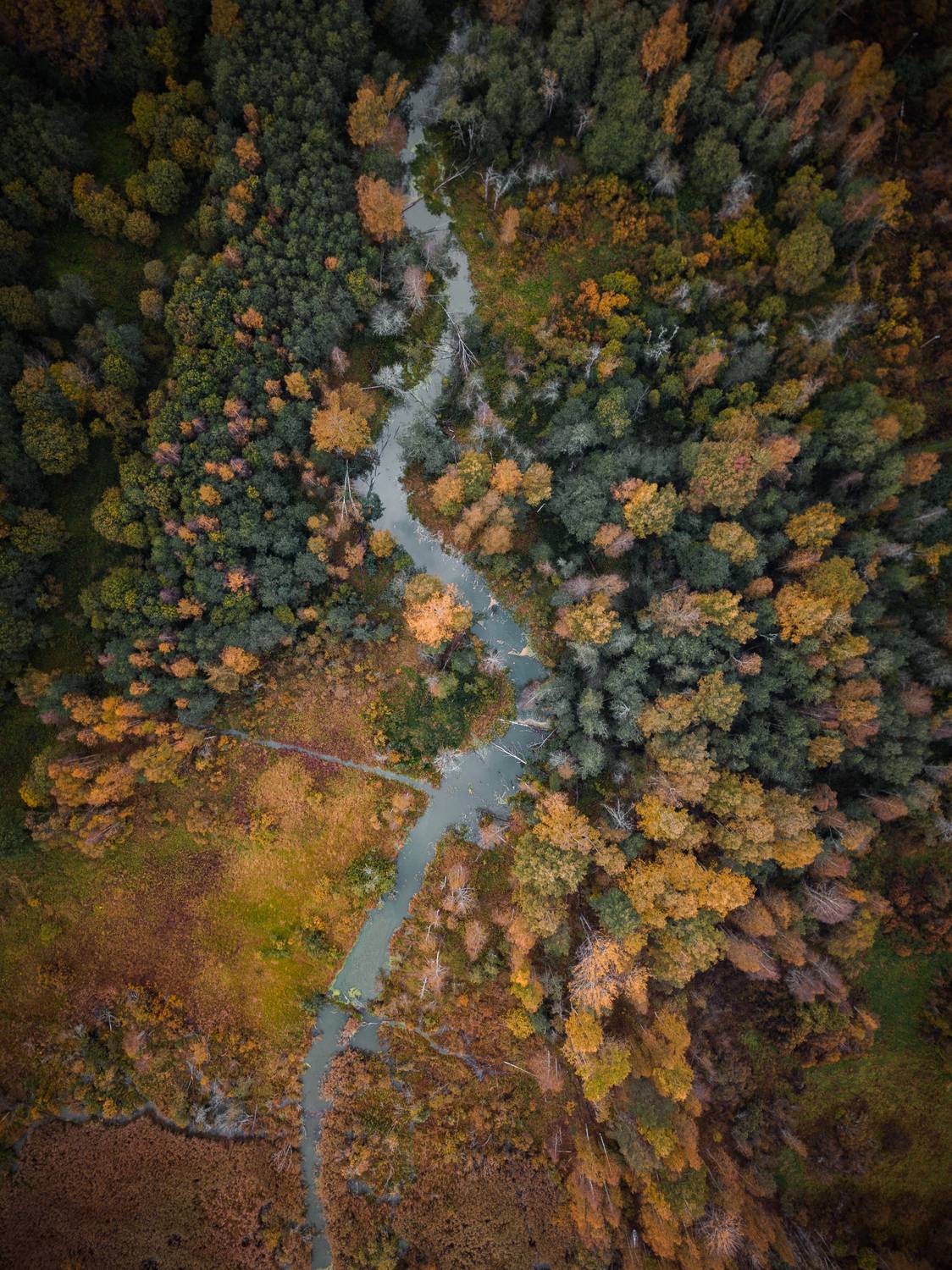 , Перевозчиков Андрей