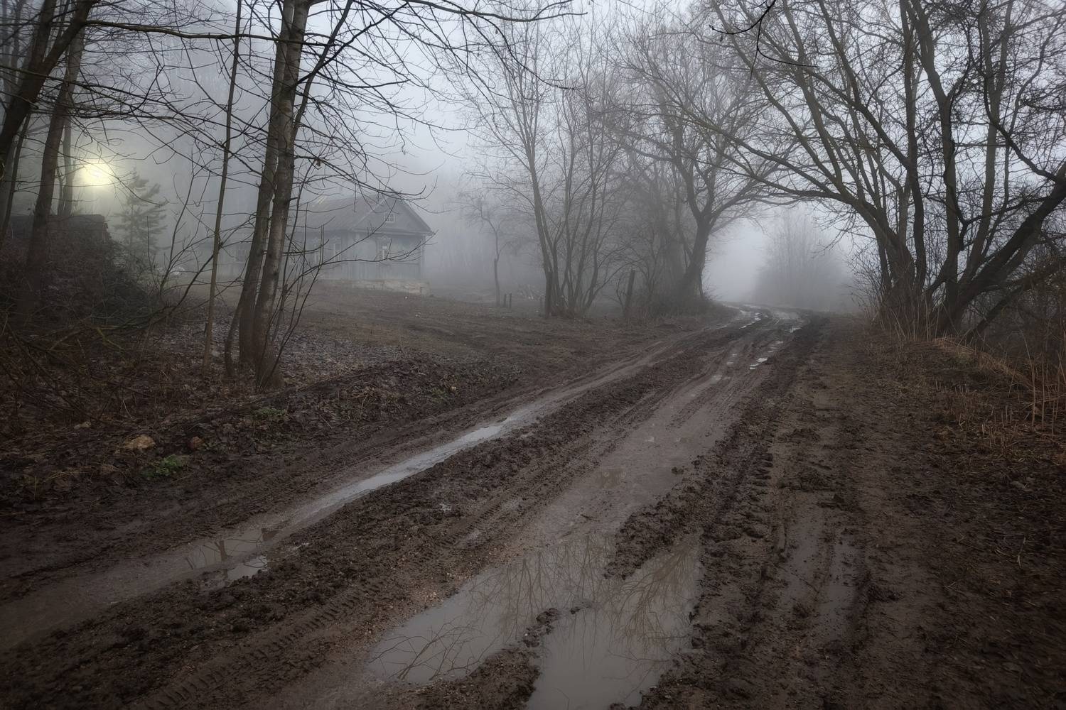 , Светлана Кондрашова