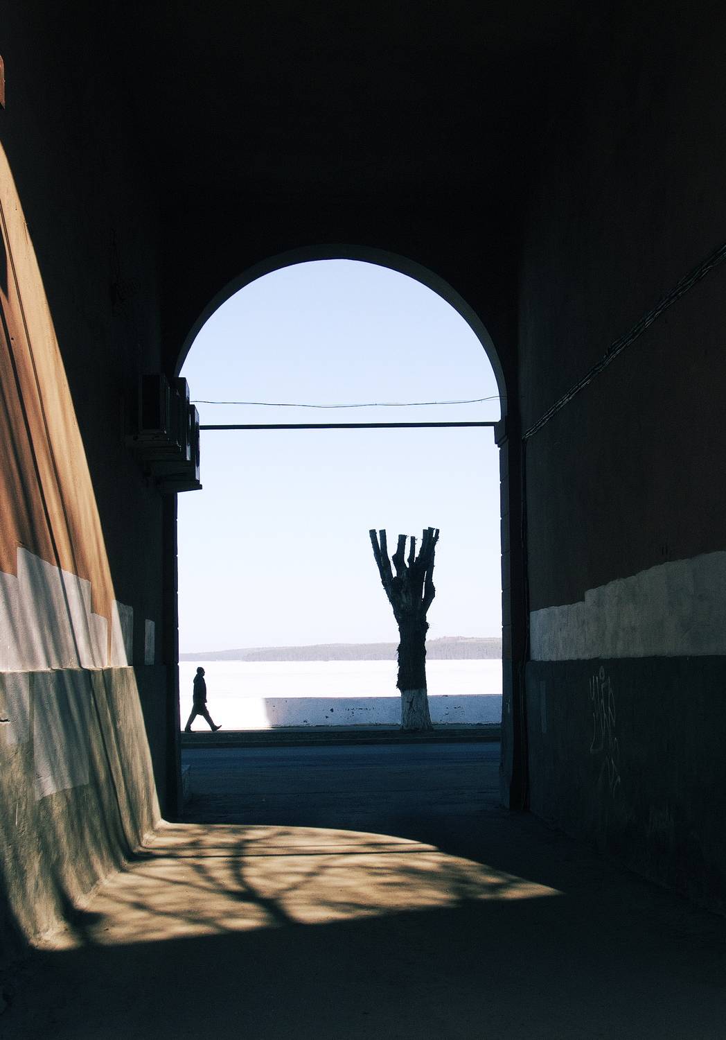 , Лофицкая Лариса