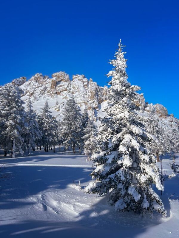 пейзаж, урал, зима, таганай Заснеженная ель с видом на Откликной гребень (нац. парк Таганай) фото превью