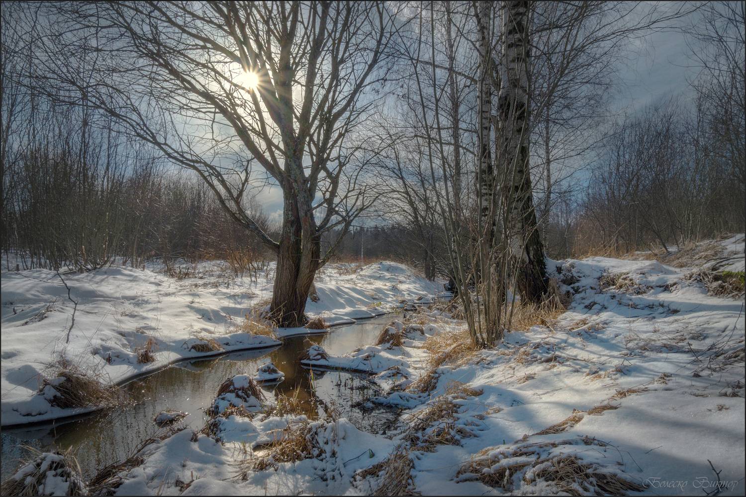 , Болеско Виктор