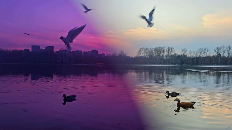 фото превью