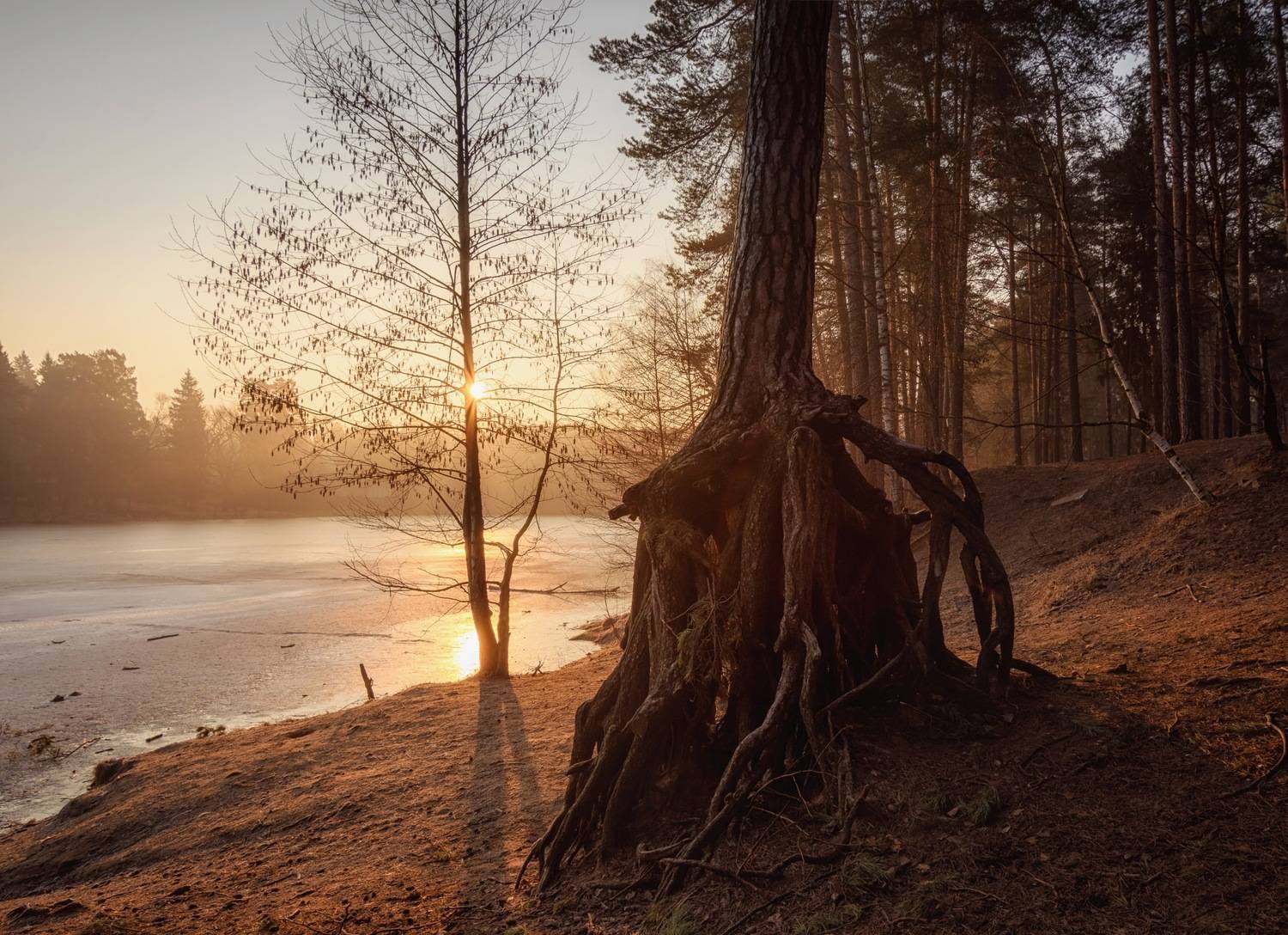 утро, рассвет, озеро, солнце, Сергей Студнев
