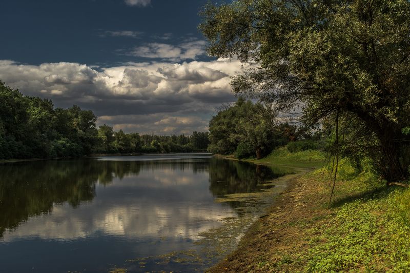 Полдень фото превью