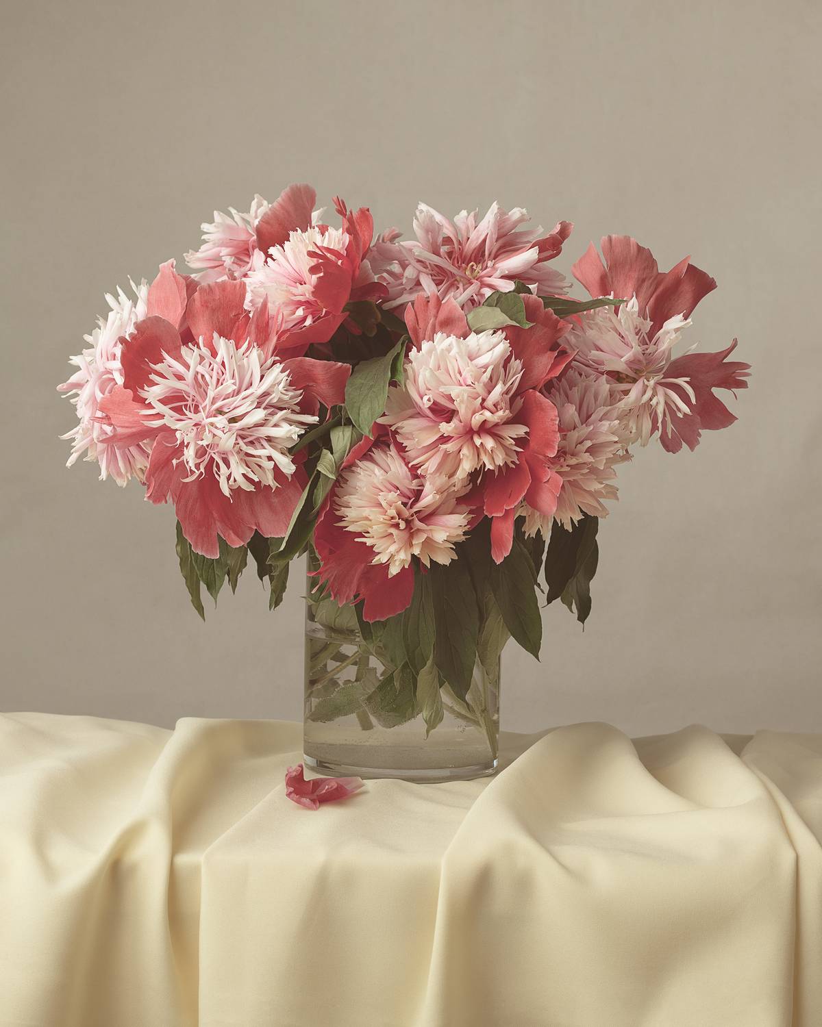 , Ольга Любимова