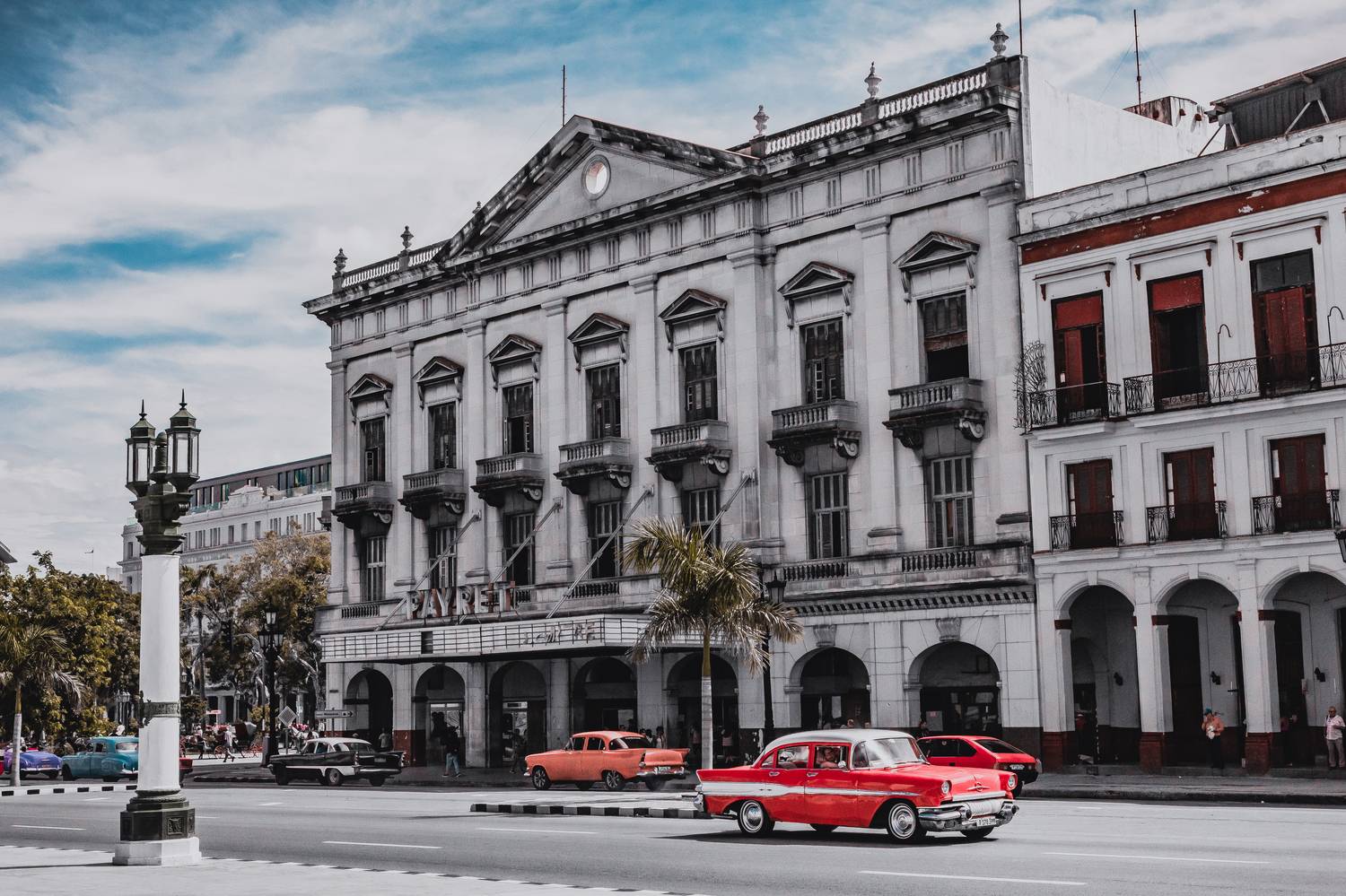 , Трепольский Дмитрий