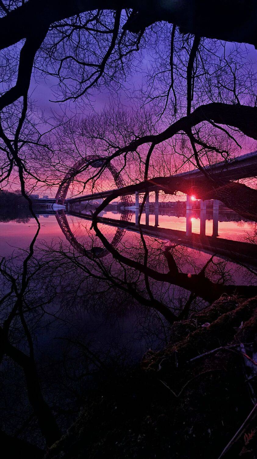 , Мария Яковлева