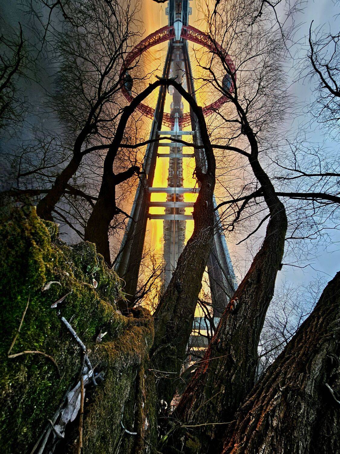 , Мария Яковлева