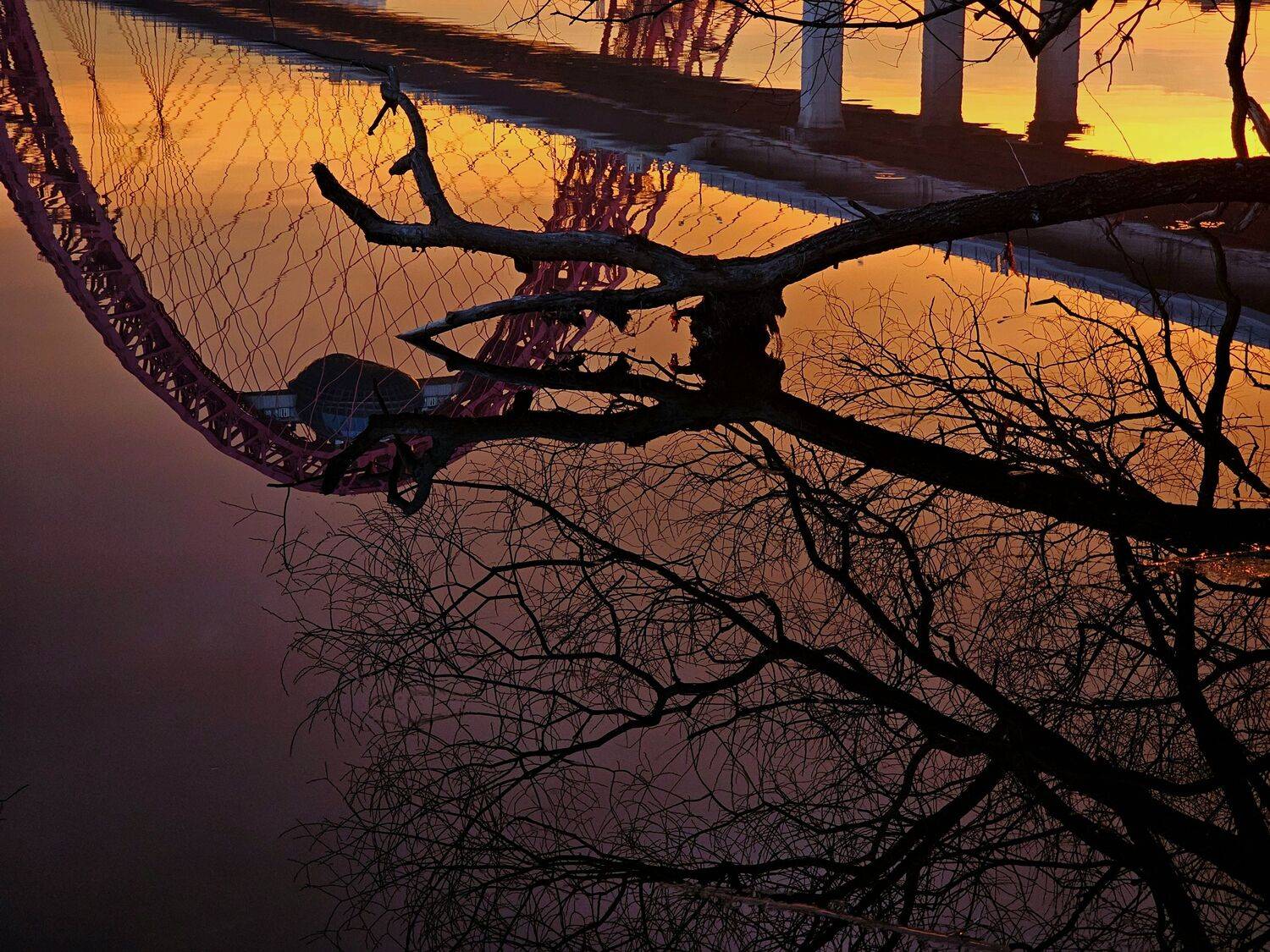 , Мария Яковлева