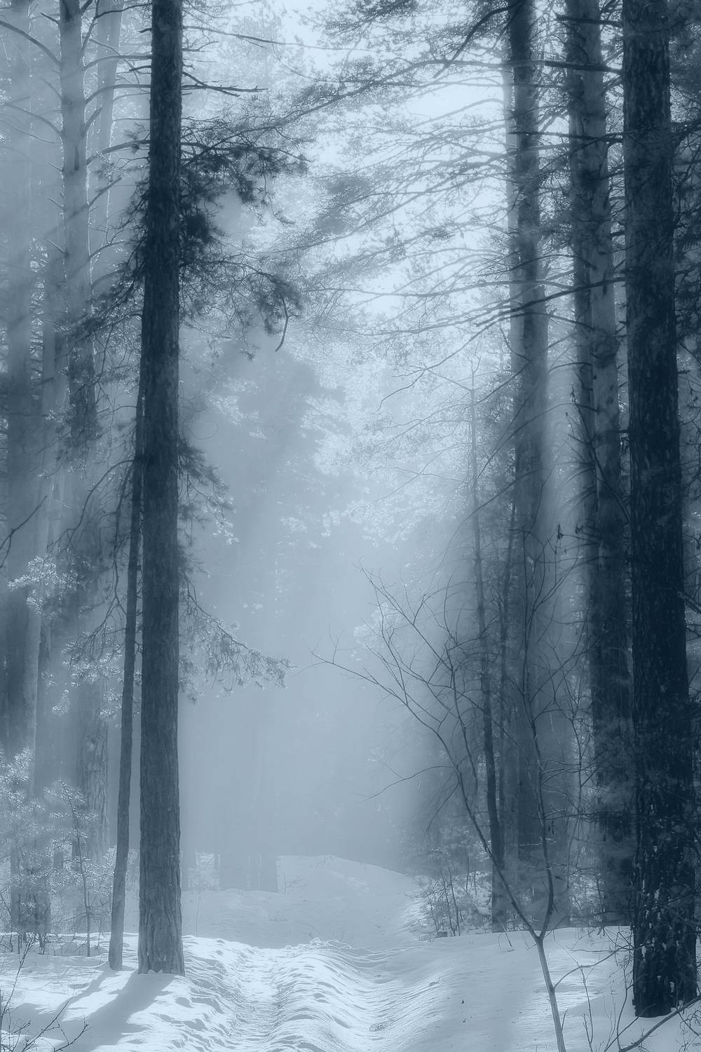 , Кузнецов Дмитрий