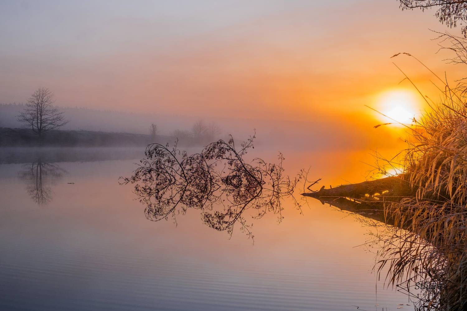 весна туман озеро утро, Александр Строков