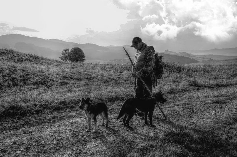 On the way to the pasture 3 фото превью