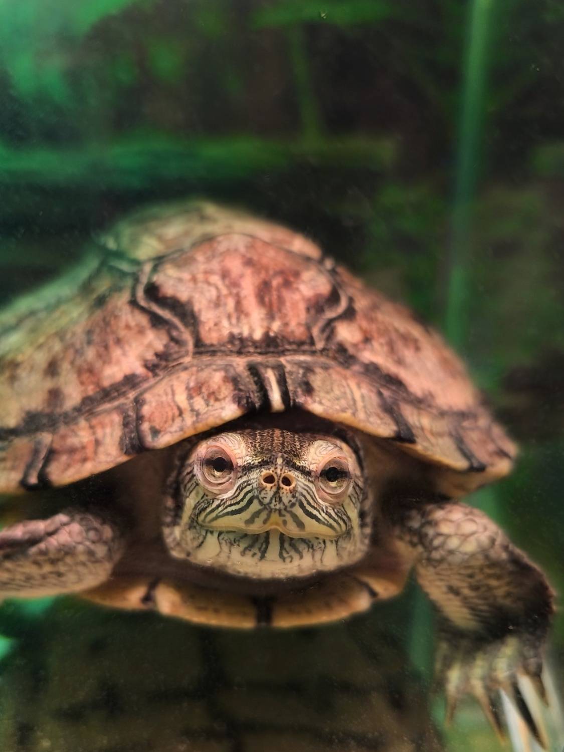 , Корнейчук Игорь