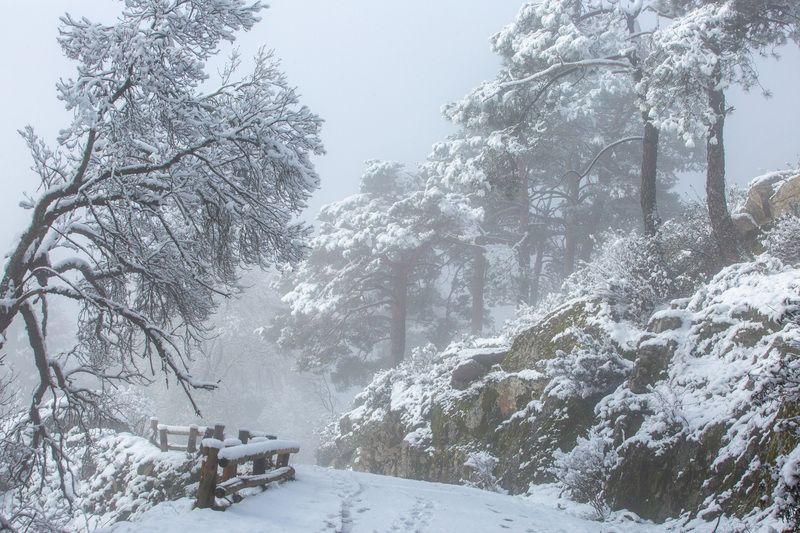 Мартовский день в наших горах фото превью