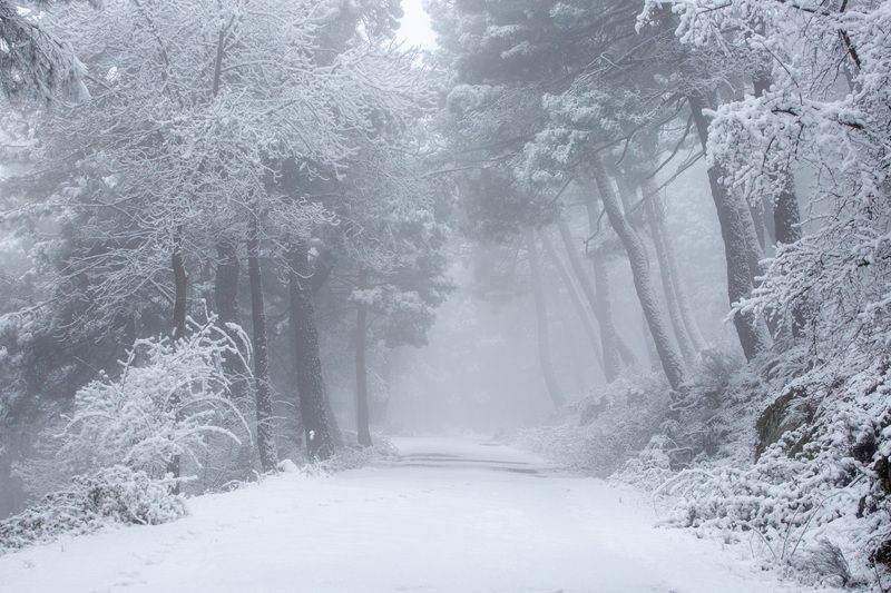 Снежный день в Эль Эскориал фото превью