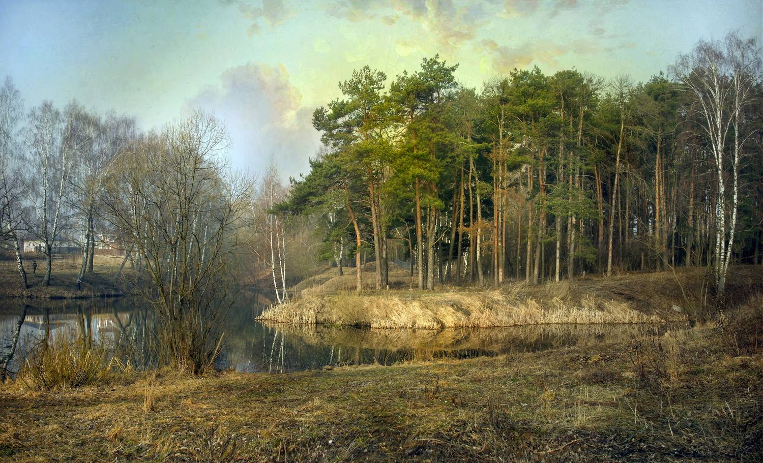 , Сушкевич Светлана