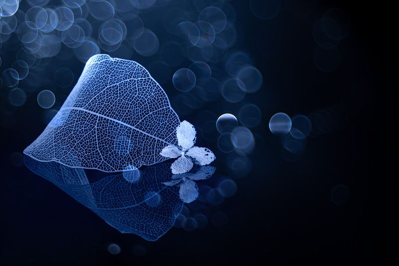 close-up Спокойно... фото превью