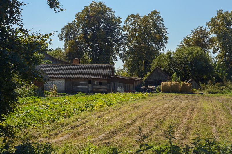 Деревенский мотив. фото превью