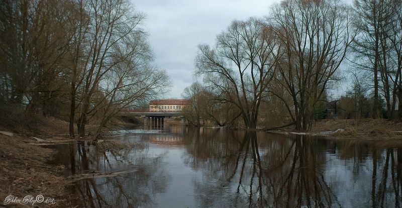 *** фото превью