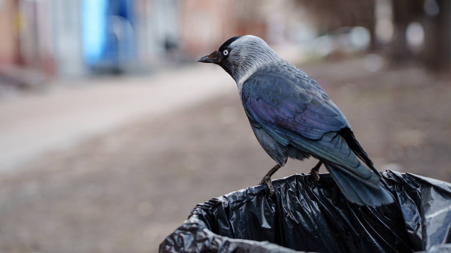 , Вертиков Юрий