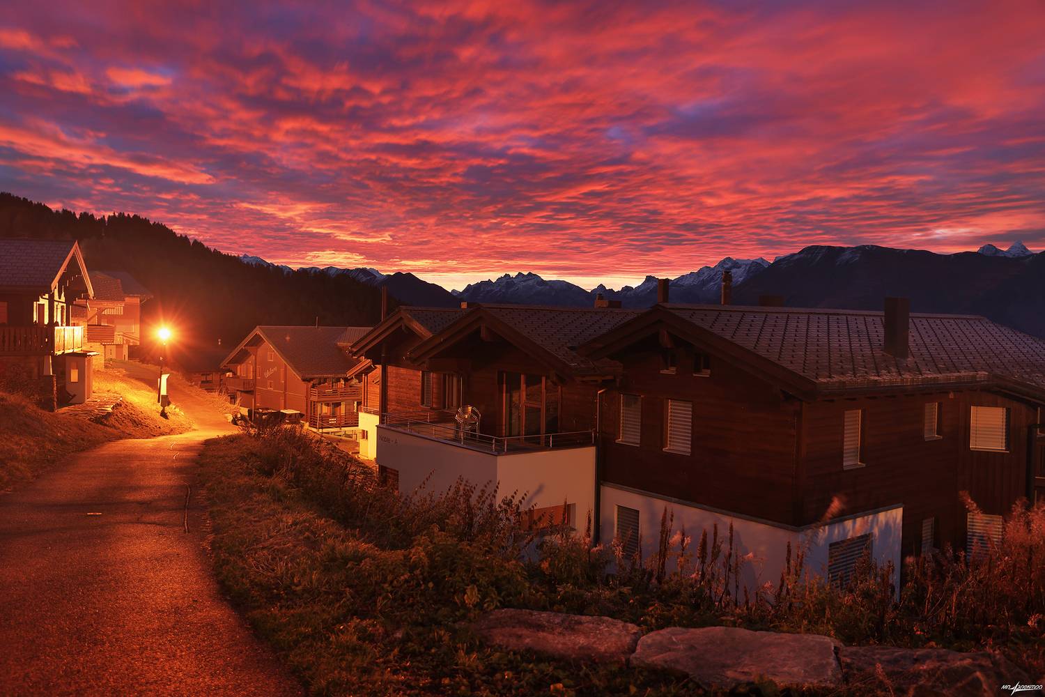 swiss, Матвеев Николай