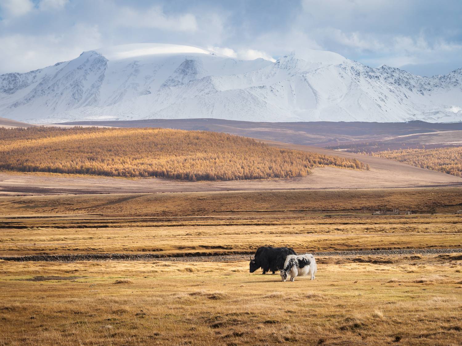 тыва, tuva, горы, гроза, облака, тучи, небо, путешествие, journey, traveling, Леонтьев Константин