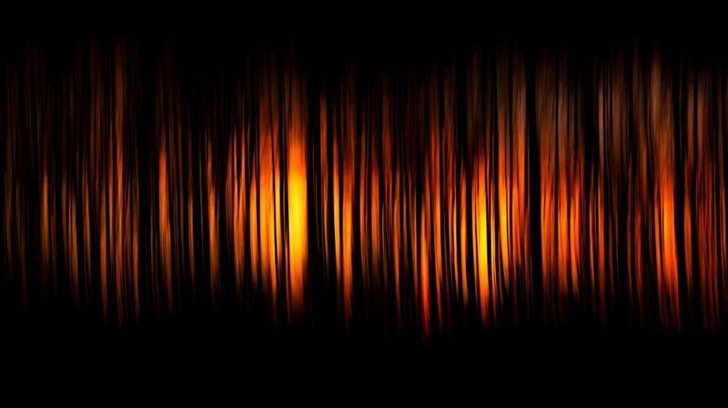 природа, арт, пейзаж Мелодия леса фото превью