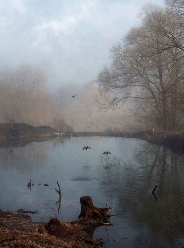 *** фото превью