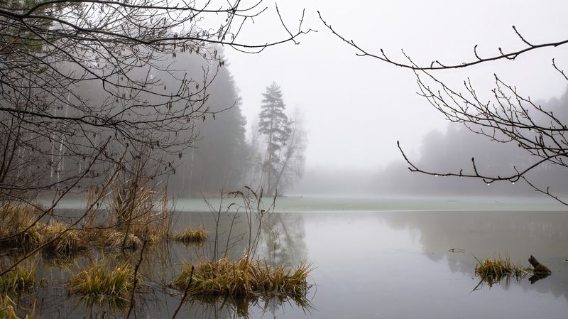 Мартовская тишина фото превью
