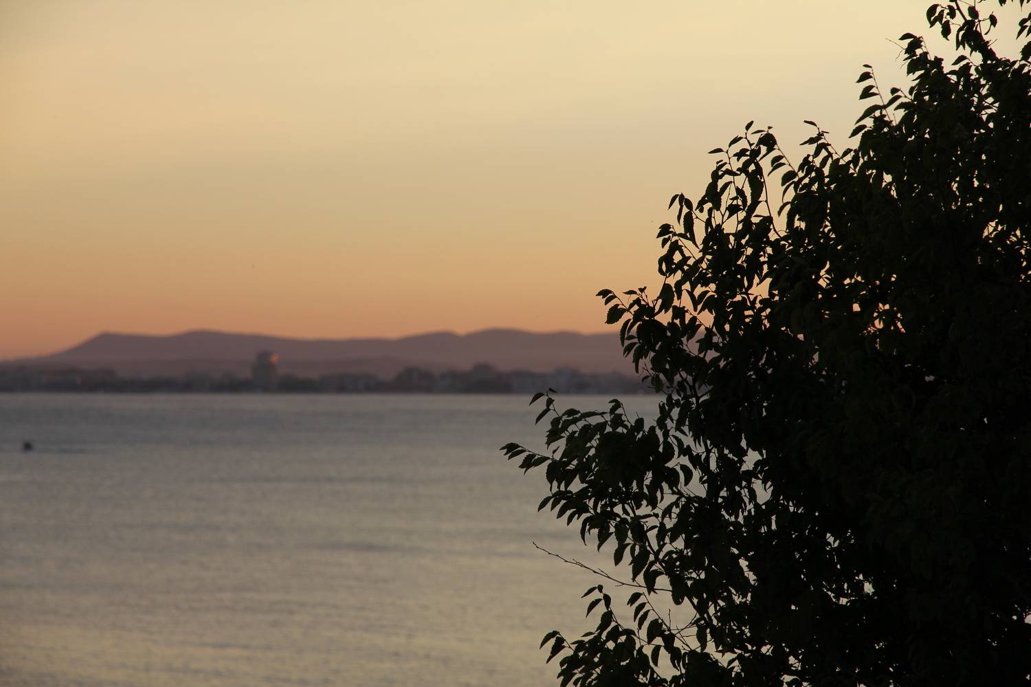 , Бравичева Анастасия