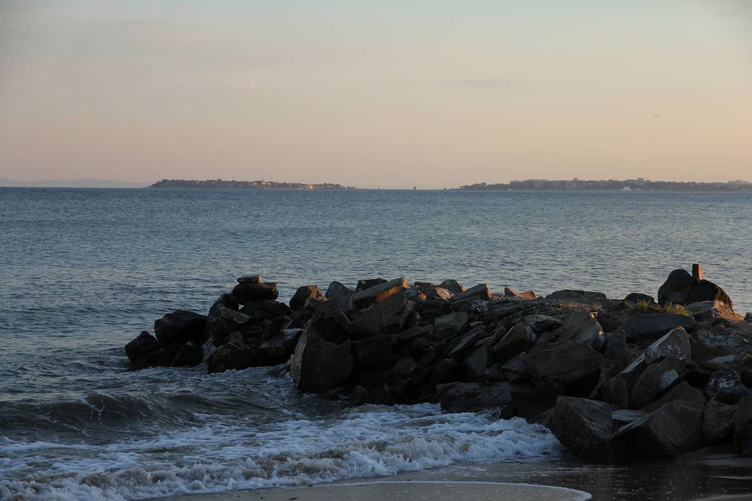 , Бравичева Анастасия