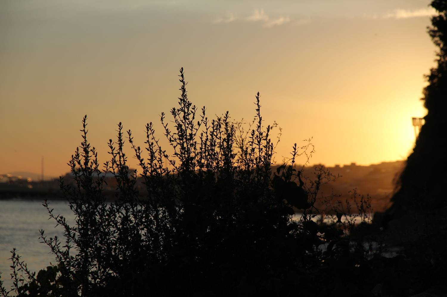 , Бравичева Анастасия