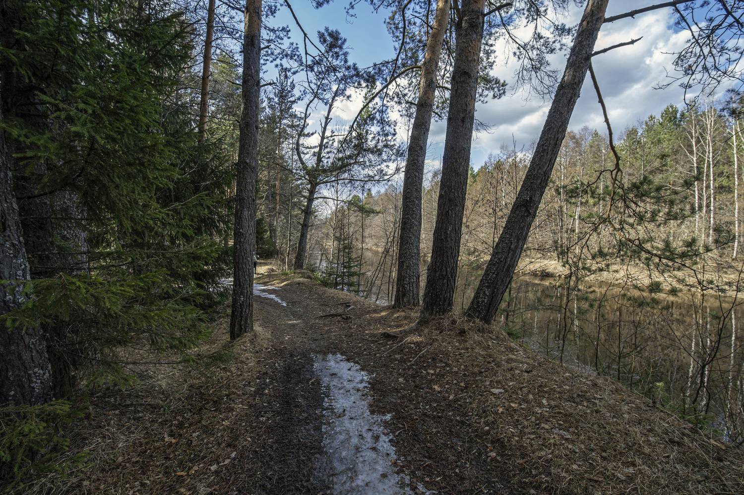 , Шитов Александр