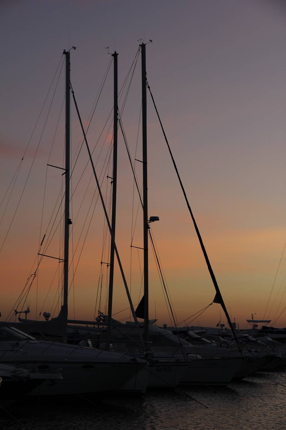 , Бравичева Анастасия