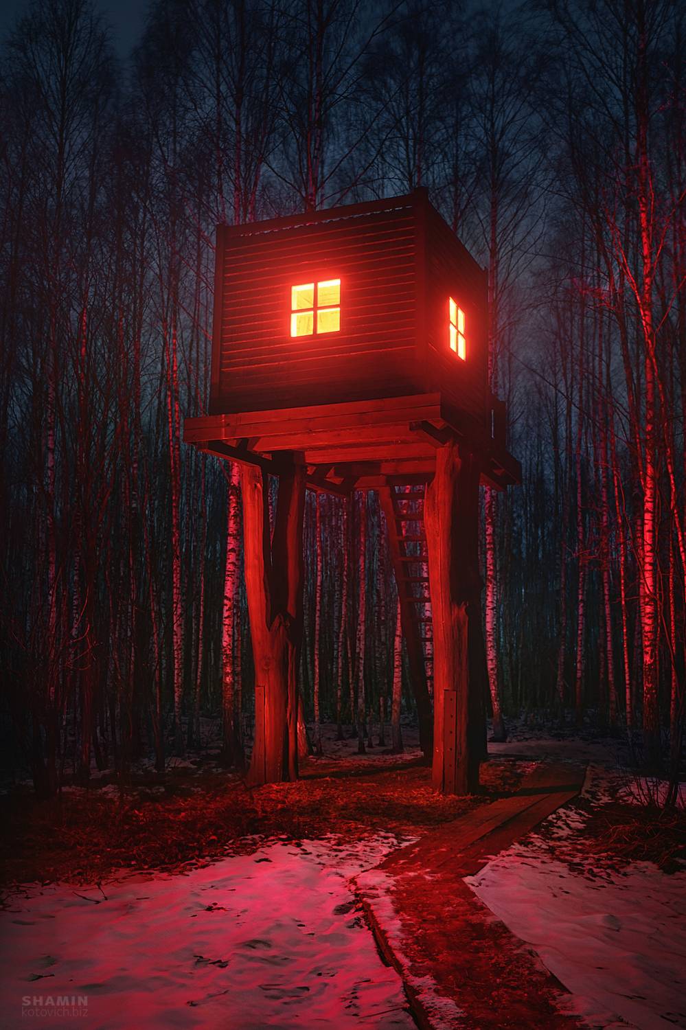 , Константин Шамин